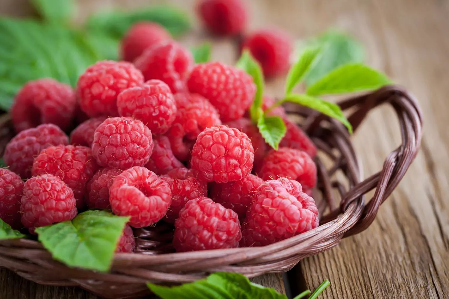 Fruits